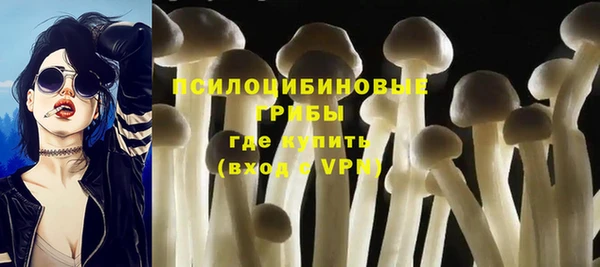 индика Коряжма