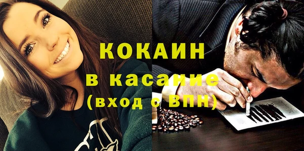 индика Коряжма