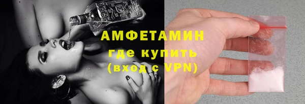 индика Коряжма