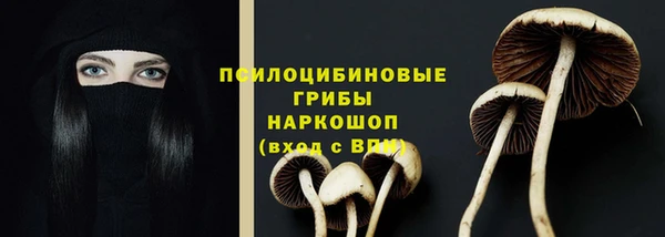 индика Коряжма