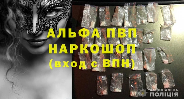 индика Коряжма