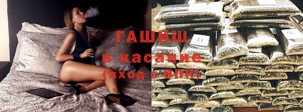 индика Коряжма