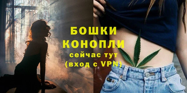 индика Коряжма