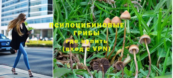 тгк Корсаков