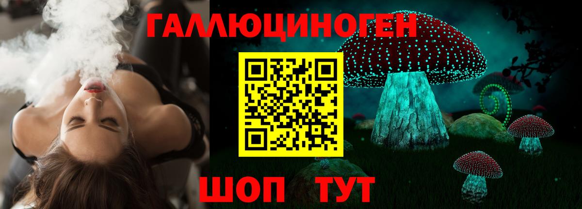 Россошь  Псилоцибиновые грибы Psilocybine cubensis  Вход с VPN 