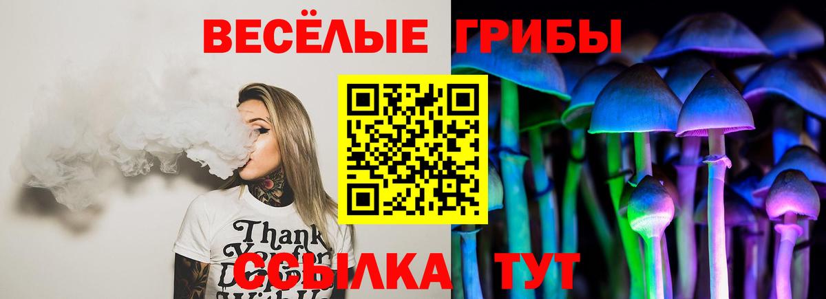 Галлюциногенные грибы прущие грибы Россошь