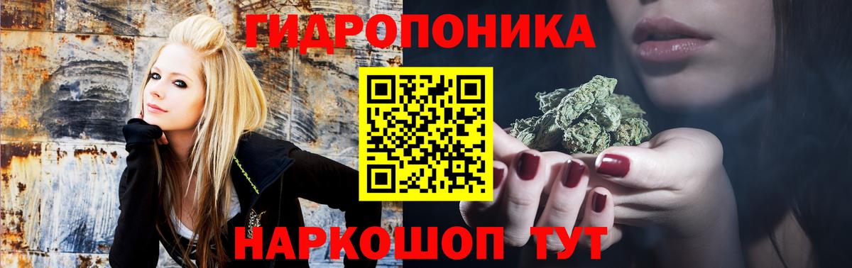 Бошки Шишки конопля Россошь